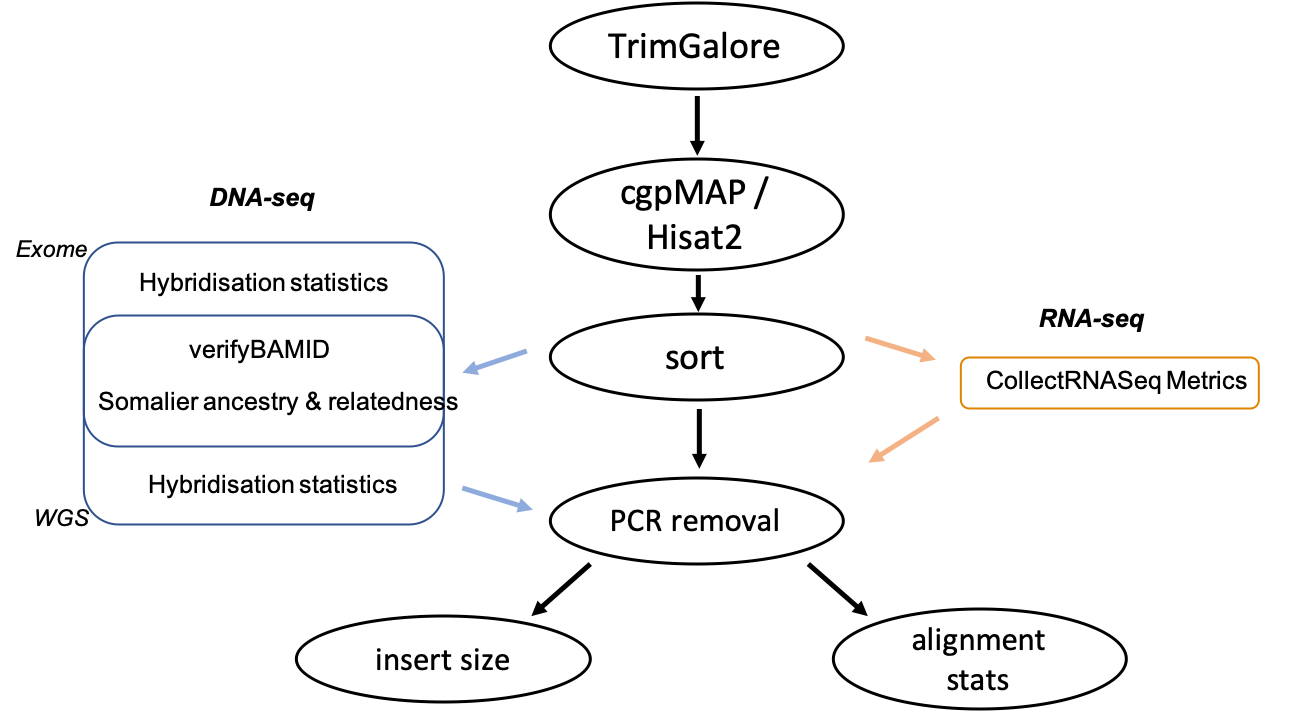 figure 1 - QC pipeline flowchart